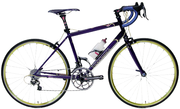The 'Fleur-de-lis' french themed woman's bike with 650c wheels
