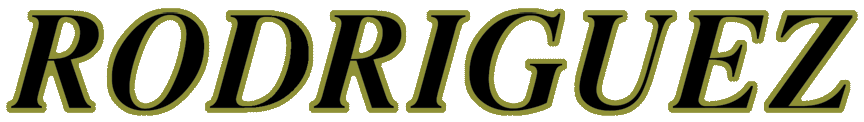Black With Gold Metallic Outline Decal