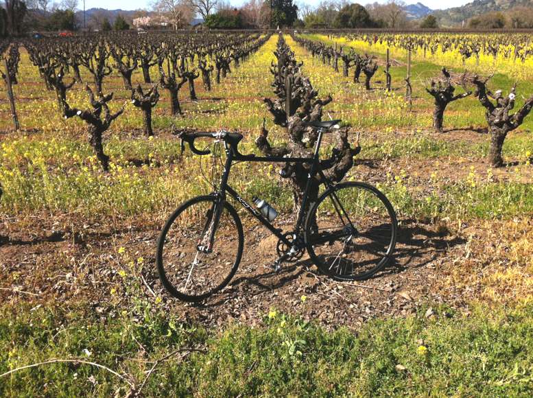 Dan S has his bike in a vineyard in Napa
